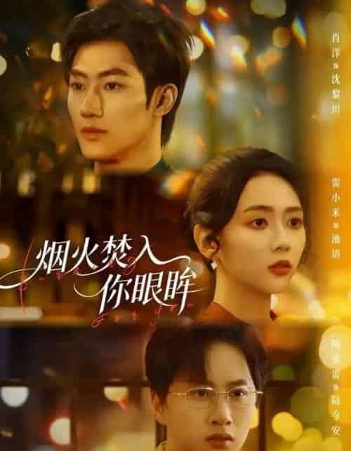 烟火焚入你眼眸（60集全）雷小米＆肖洋-搜外项目网