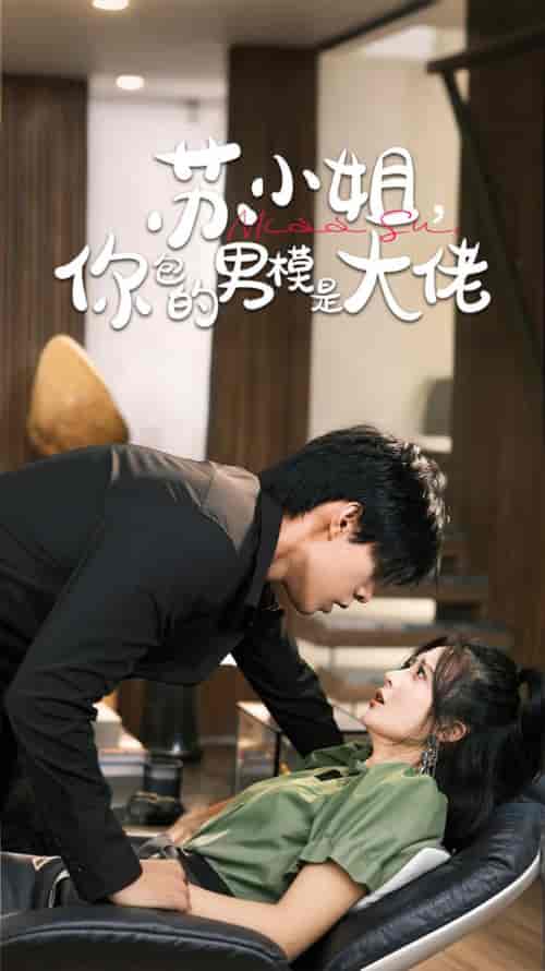 苏小姐你包的男模是大佬（70集全）马小宇＆刘美娜-搜外项目网