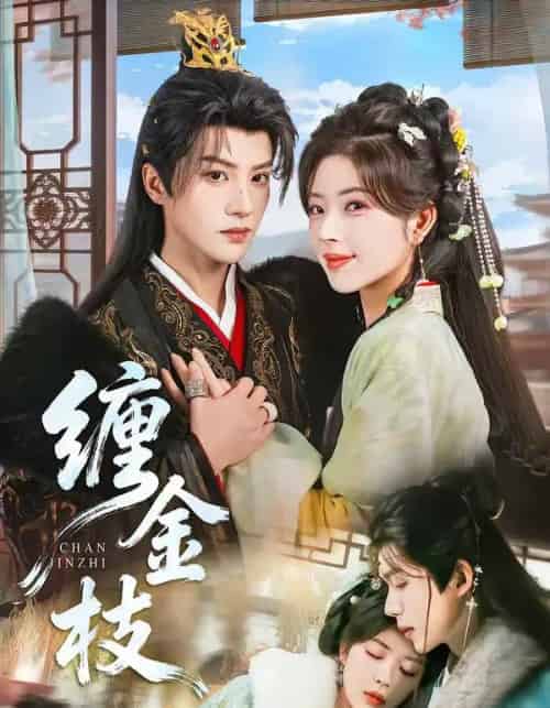 缠金枝(69集全)陈云廷&熊安妮-搜外项目网
