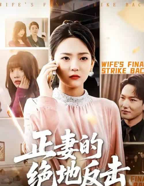 正妻的绝地反击（76集全）张浩天＆高婧琪-搜外项目网