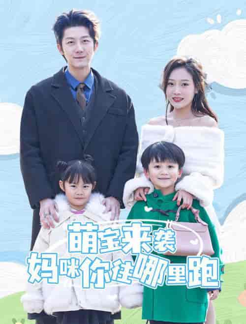 萌宝来袭妈咪你往哪里跑（96集全）-搜外项目网