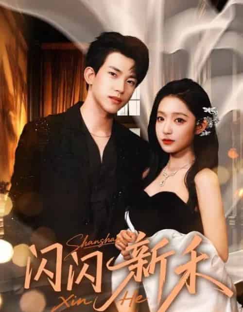 闪闪新禾（76集全）阚梓艺＆岳杨-搜外项目网