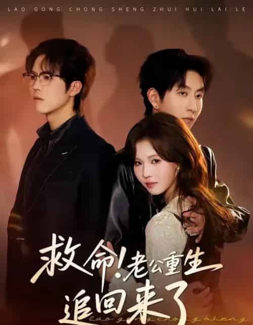 救命！老公重生追回来了（40集全）丁紫嫣＆戴睿-搜外项目网