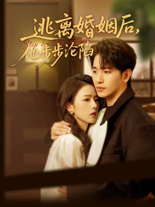 逃离婚姻后,他步步沦陷(85集)王浩翔&翟成露-搜外项目网