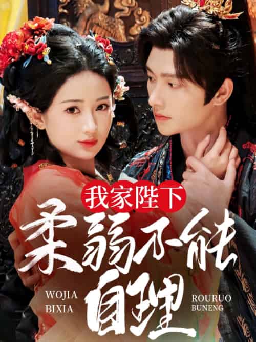 我家陛下柔弱不能自理（80集）明川＆汪海敏-搜外项目网