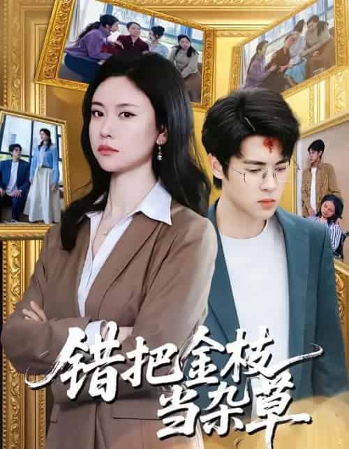 错把金枝当杂草(56集全)姚蜜&张庭华-搜外项目网