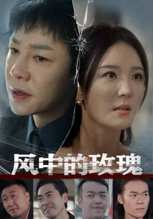 风中的玫瑰（59集全）李明-搜外项目网