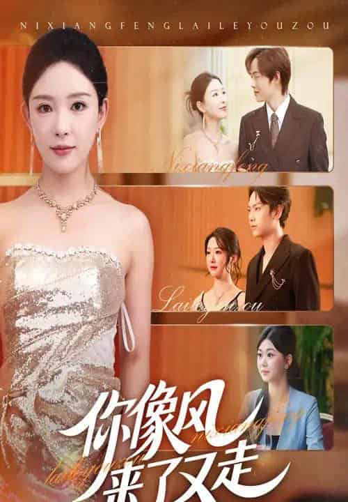 你像风来了又走（59集全）葛玲＆刘松涛-搜外项目网