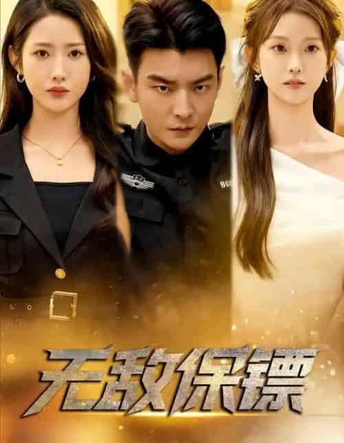 无敌保镖(62集全)张如意&杨川北-搜外项目网