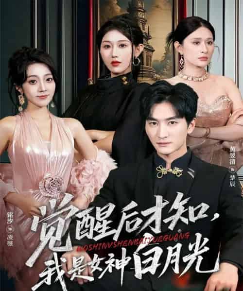 觉醒后才知我是女神白月光(62集全)黄昱清&铭汐-搜外项目网