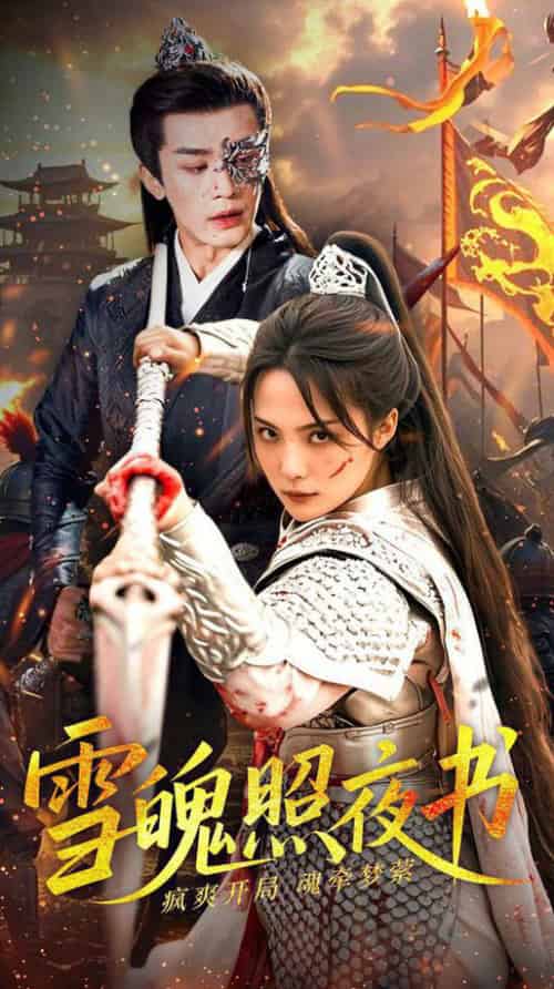 雪魄照夜书（72集全）周航＆苏寰-搜外项目网