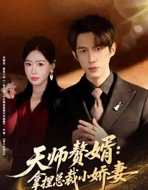 天师赘婿:拿捏总裁小娇妻(80集全)黄振洲&马祈欣-搜外项目网