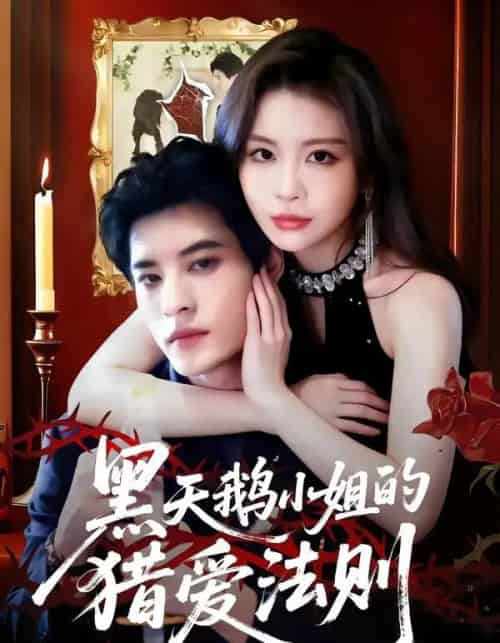 黑天鹅小姐的猎爱法则（61集全）秦伟钊＆李逸璇-搜外项目网