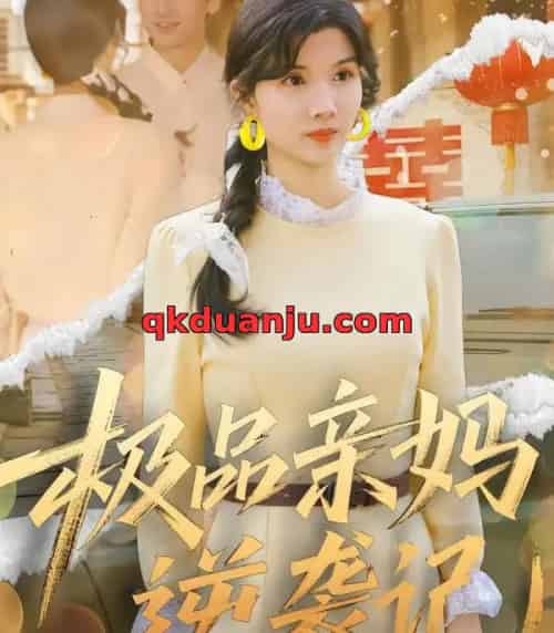 极品亲妈逆袭记（80集全）林念初＆叶文彦-搜外项目网