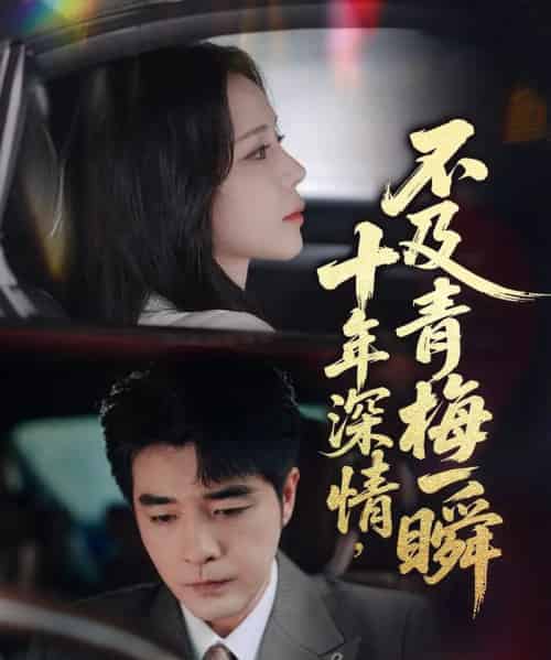 十年深情不及青梅一瞬（55集）罗思纯＆弓佩瑶-搜外项目网