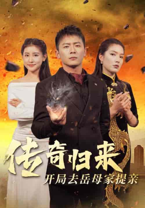 传奇归来开局去岳母家提亲（72集）苏格子-搜外项目网