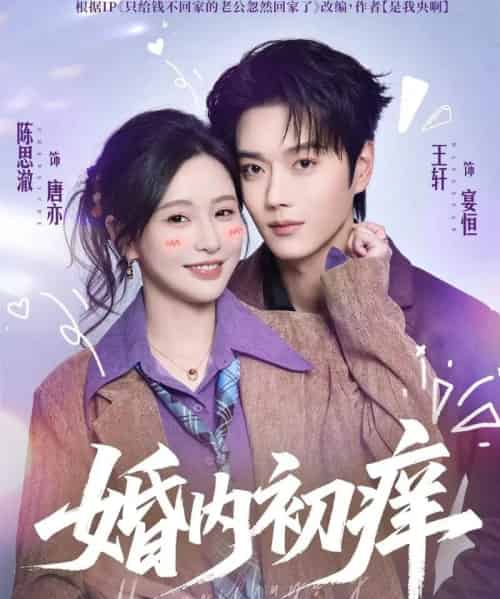 婚内初痒（100集全）陈思澈＆王轩-搜外项目网