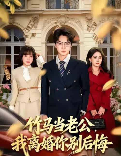 竹马当老公，我离婚你别后悔（63集全）驰恩尘＆刘虹君-搜外项目网