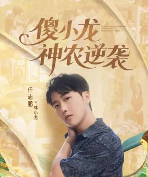 傻小龙神农逆袭（80集全）刘凯伦＆任志鹏-搜外项目网