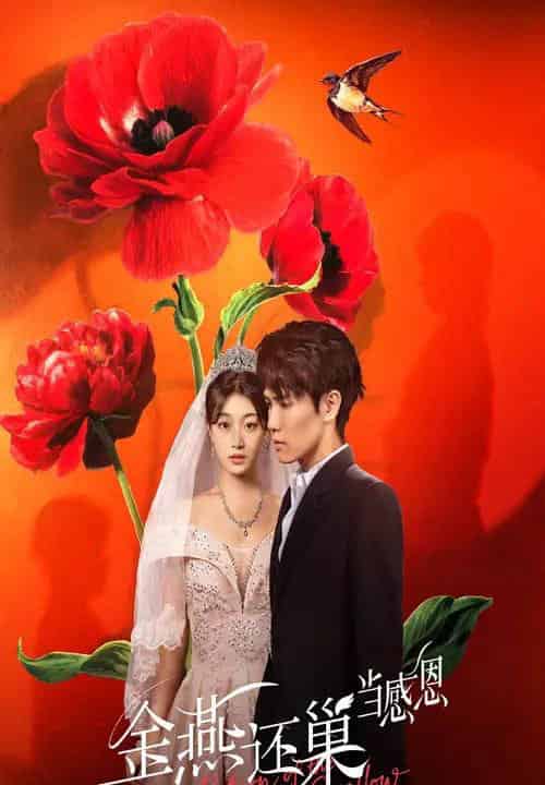 金燕还巢当感恩(55集)晓杨&刘曙瑞-搜外项目网