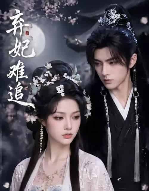 弃妃难追（64集全）-搜外项目网