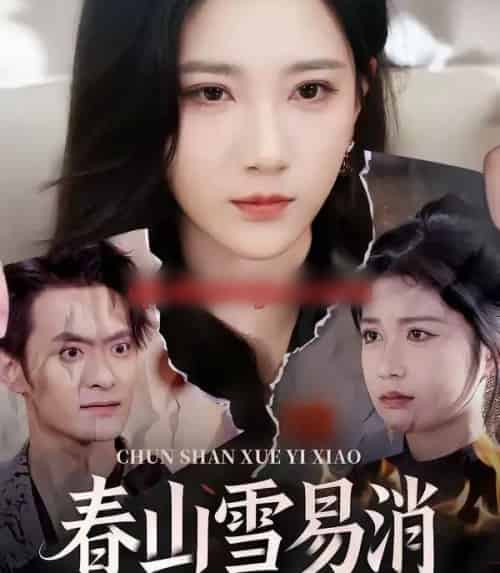 春山雪易消（50集全）高明君＆郑天龙-搜外项目网