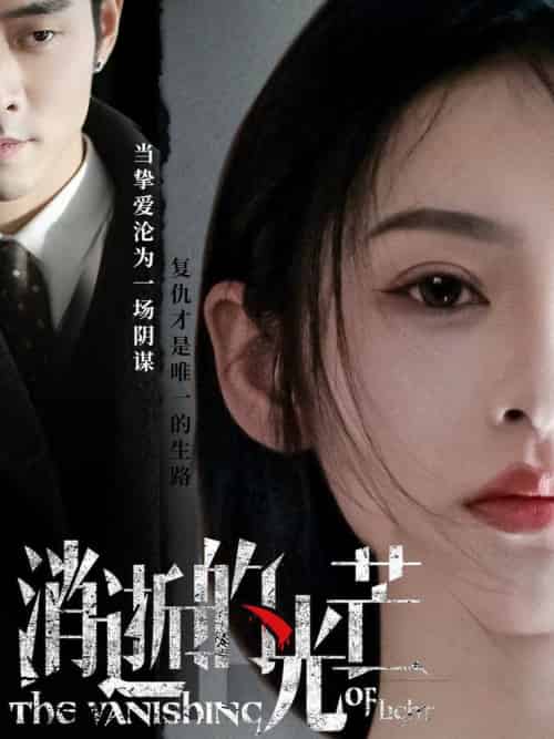 消逝的光芒（55集全）曹天恺＆觅七-搜外项目网