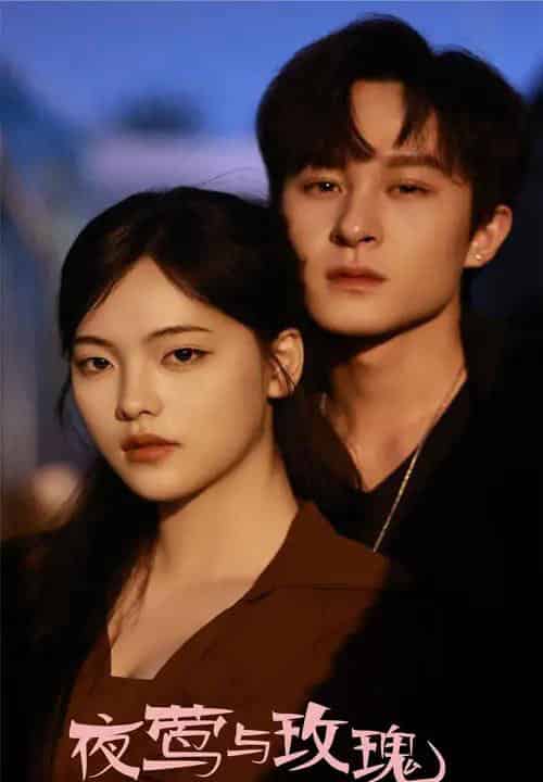 夜莺与玫瑰（60集）聂杨＆江炘-搜外项目网