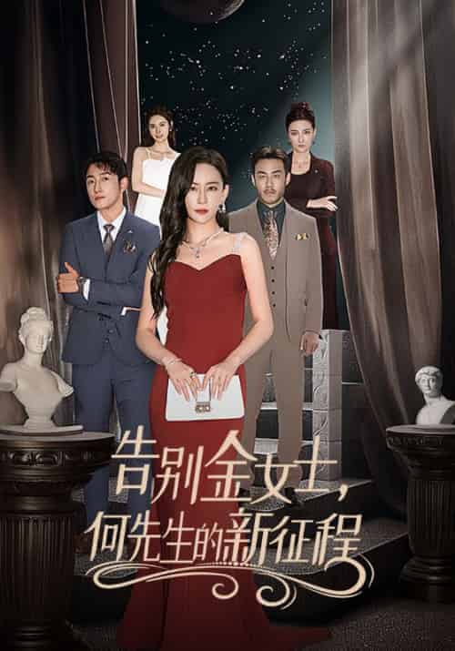 告别金女士，何先生的新征程（30集全）何琛＆金莲-搜外项目网