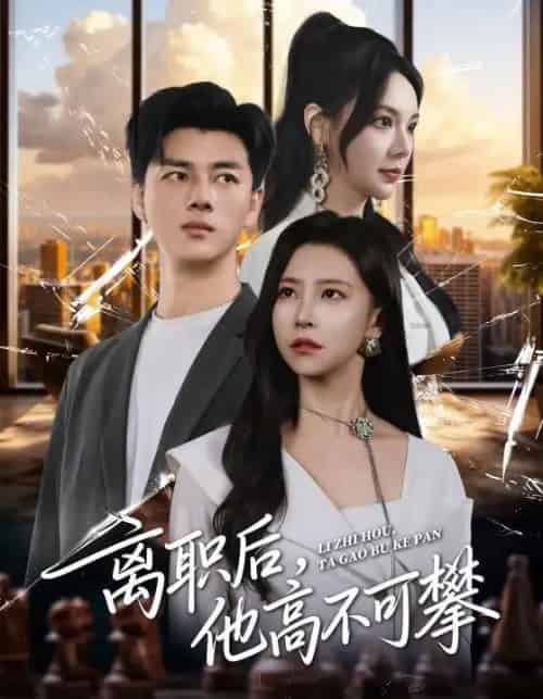 离职后，他高不可攀（40集全）李进源＆袁宁-搜外项目网