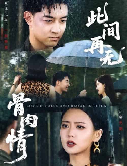 此间再无骨肉情（60集全）贺龙天＆高岫楠-搜外项目网