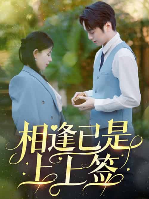相逢已是上上签（30集全）李雯慧＆王青青-搜外项目网