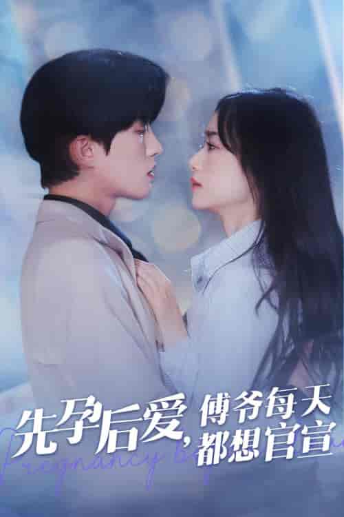 先孕后爱傅爷每天都想官宣(47集全)陈云廷&王小亿-搜外项目网
