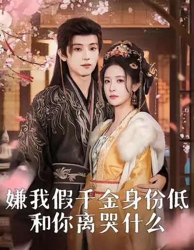 嫌我假千金身份低，和你离哭什么（120集全）宋益凡＆王思瑾-搜外项目网