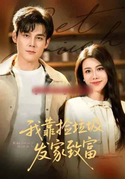 我靠捡垃圾发家致富（73集全）刘凯＆陈汶汐-搜外项目网