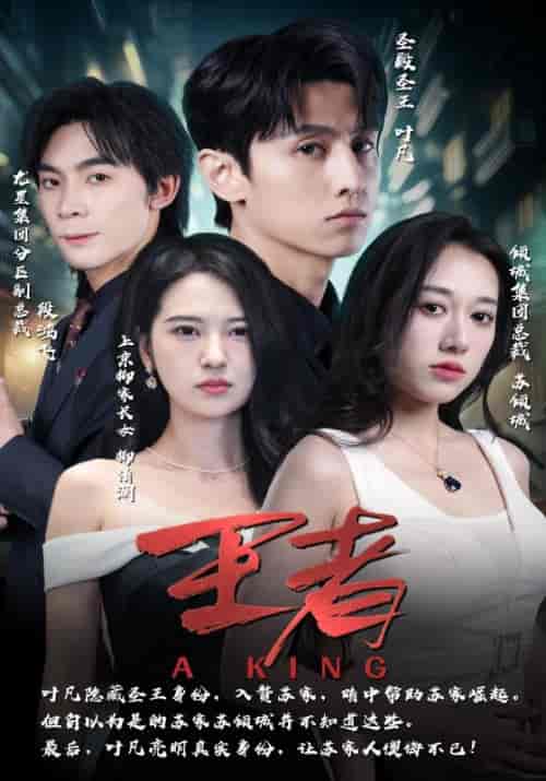 王者（94集）叶凡＆柳清涵-搜外项目网