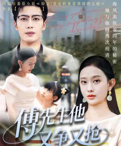 傅先生他又争又抢（77集）朱旌豪＆陈一孚-搜外项目网