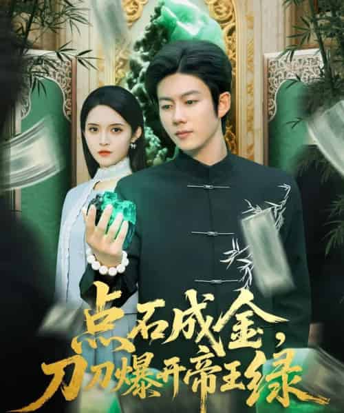点石成金刀刀爆开帝王绿（74集全）王厂＆朱沐梵-搜外项目网