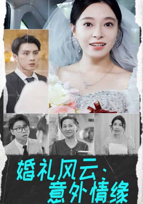 婚礼风云：意外情缘（33集全）万辰＆夏沫-搜外项目网