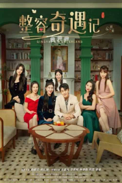 整容奇遇记（80集）尚熠晗＆李悦暄-搜外项目网