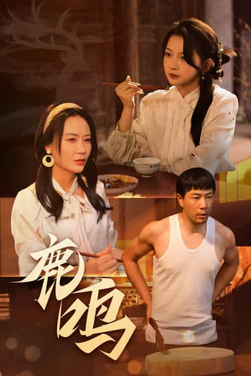 鹿鸣（40集）苗峯＆张婉悦-搜外项目网