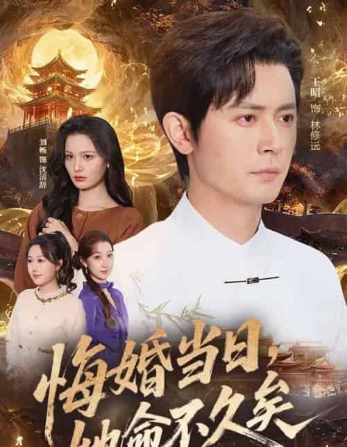 悔婚当日，她命不久矣（59集全）王昭＆刘畅-搜外项目网