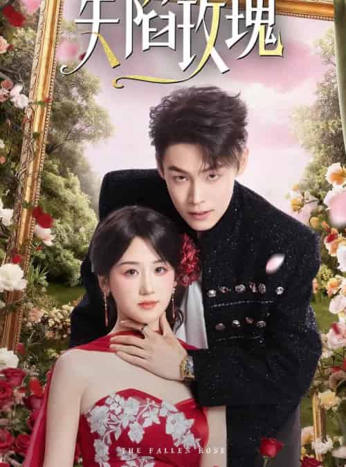 失陷玫瑰(60集全)朱哲人&余紫瑄-搜外项目网