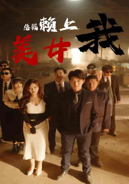 美女总裁赖上我（97集）尚妙怡-搜外项目网