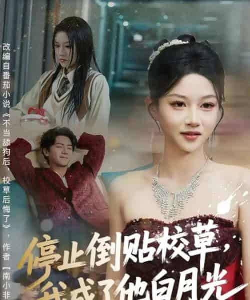 停止倒贴校草，我成了他白月光（61集全）刘轩＆杨洪-搜外项目网