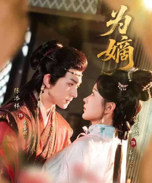 为嫡（78集）刘蓝鸽＆陈添祥-搜外项目网