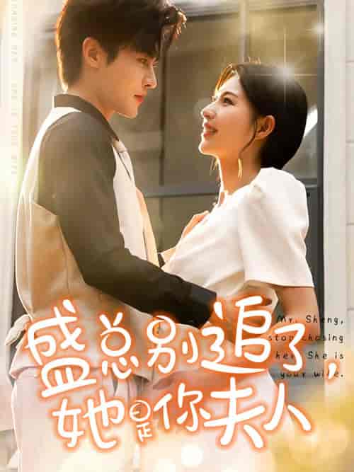 盛总别追了，她是你夫人（99集）马明宇-搜外项目网