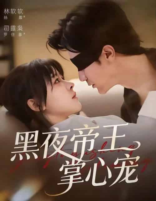黑夜帝王掌心宠（68集全）罗佳豪＆杨晨（女）-搜外项目网