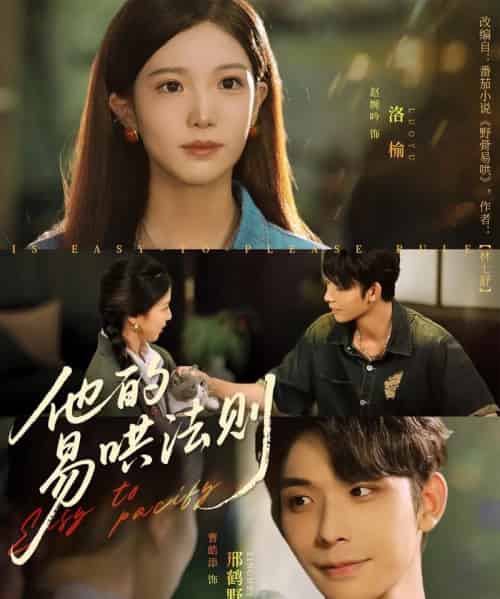 他的易哄法则（80集）曹皓添＆赵婉吟-搜外项目网