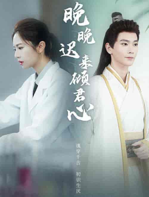 晚晚迟来倾君心（83集全）常斌-搜外项目网